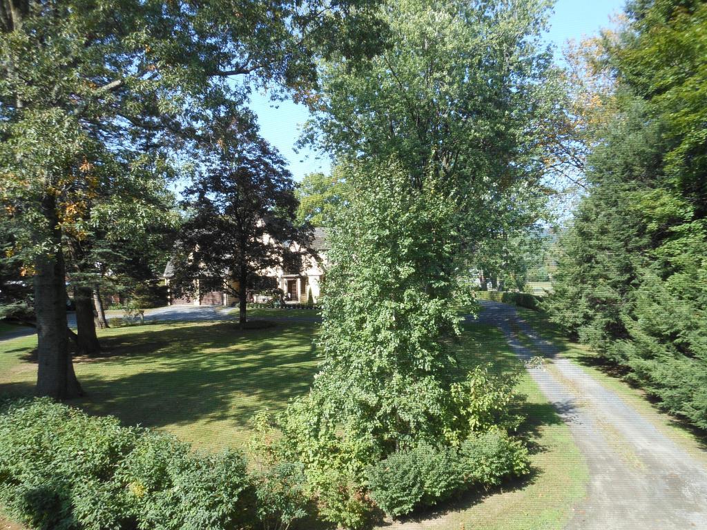 The Carriage House Loft Διαμέρισμα Kingston Εξωτερικό φωτογραφία